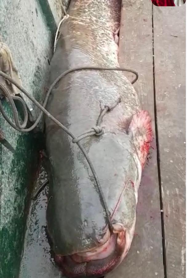 Smestaj Zeka Tekija Tekija  Exterior foto